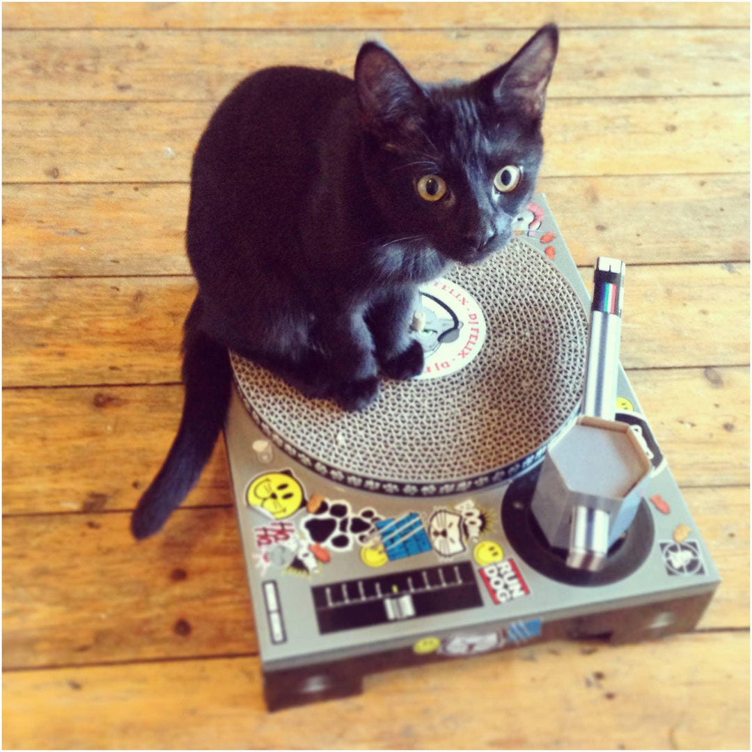 Cat Scratch DJ Decks - unleash your cat’s inner DJ - Davidson Provision Co.