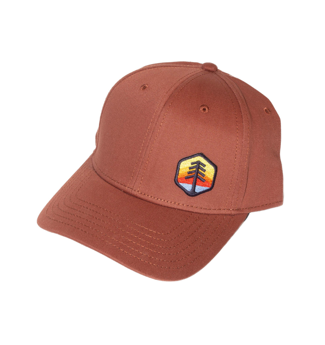 Icon Trucker Cap - DavProCo